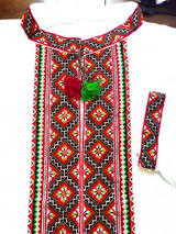 Multicolored embroidered shirt